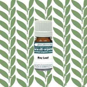 Aromatherapy Oil - Bay leaf 5ml
