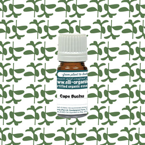 Aromatherapy Oil  - Cape Buchu 5ml