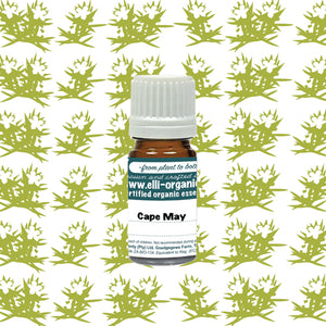 Aromatherapy Oil - Cape may 5ml