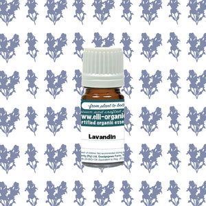 Aromatherapy Oil - Lavandin 5ml
