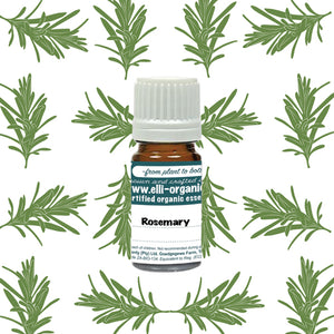 Aromatherapy Oil - Rosemary verbenone 5ml